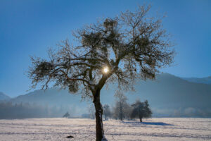 Eric-02-01852
