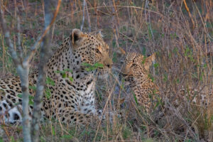 Eric-21-04915